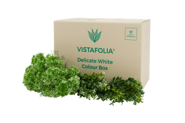 Delicate white
