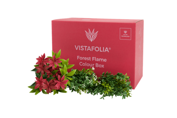 Forest Flame Colour Box