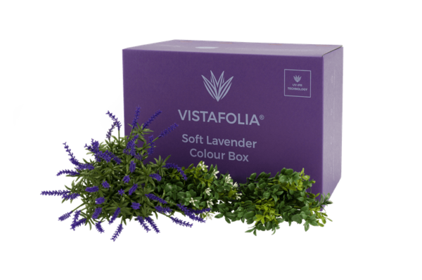 Soft lavender