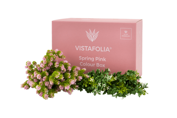 Spring pink