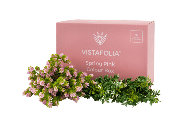 Spring pink