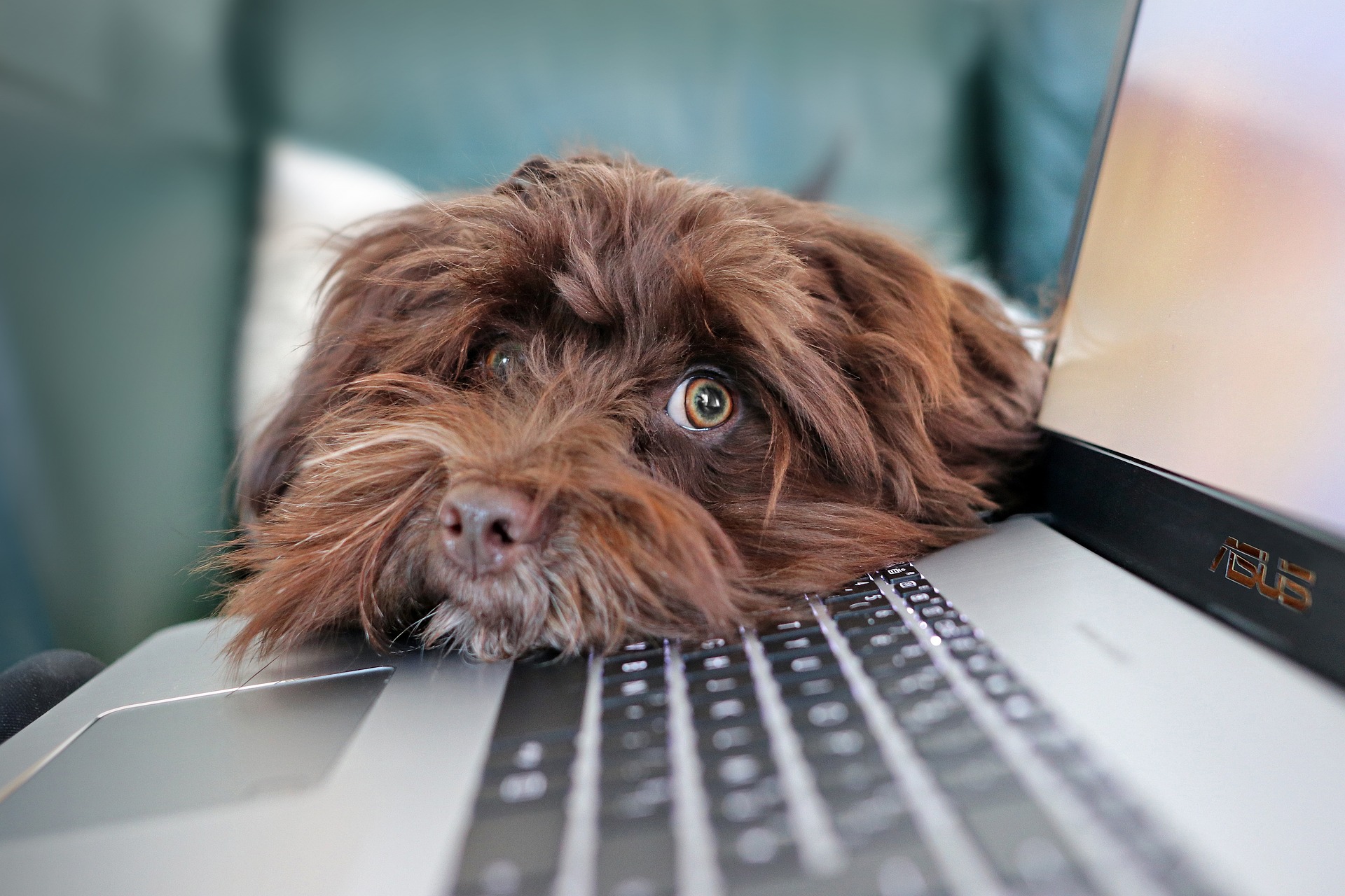 Balancing your work time