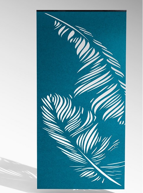 Feathers