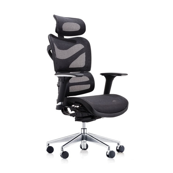 Dorsum-Mesh-Ergonomic-Task-Chair