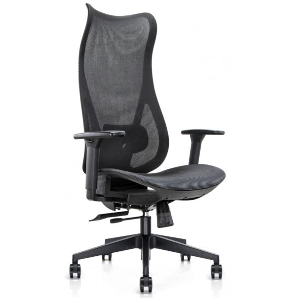 Mala Mesh Back High Back Task Chair
