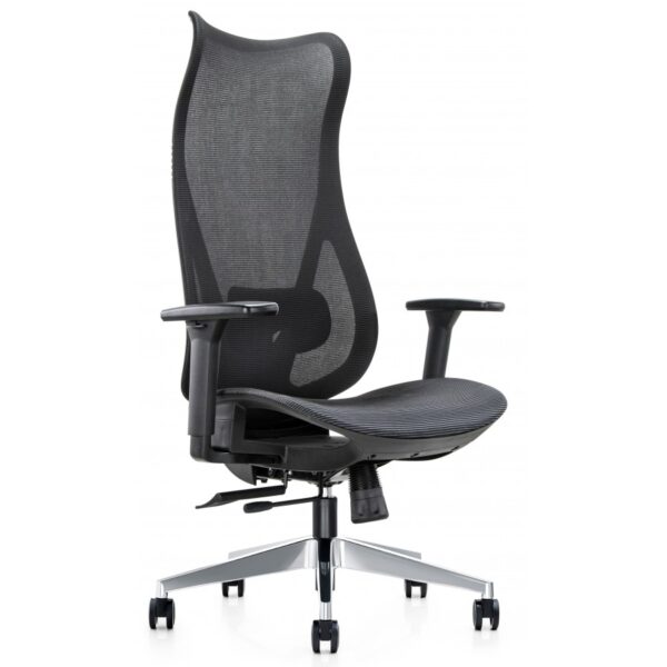 Mala Mesh Back High Back Task Chair With Chrome Base