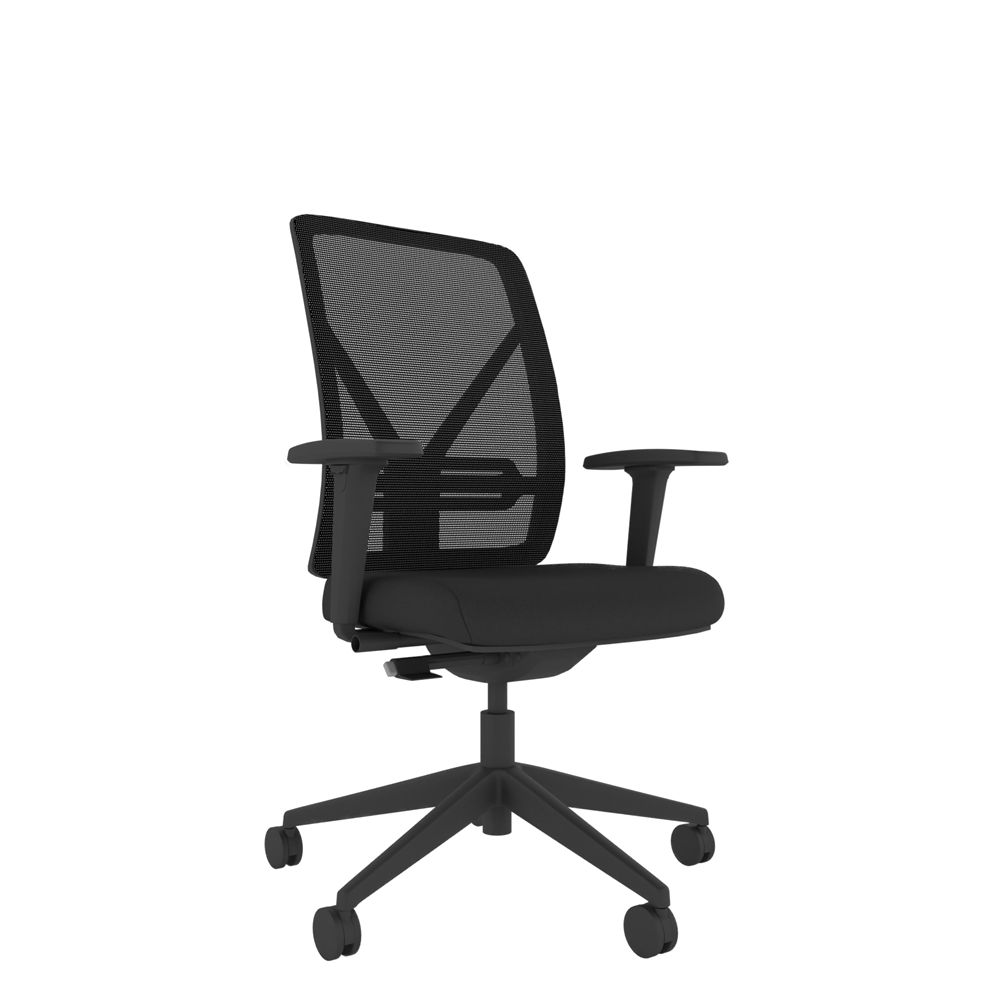 YOU Mesh Task Chair 2D Arms