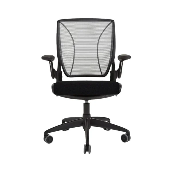 Humanscale diffrient world chair