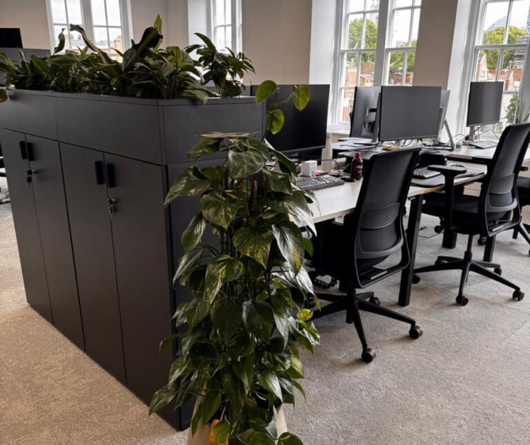 How to Clear an Office Quickly (Without Overspending)